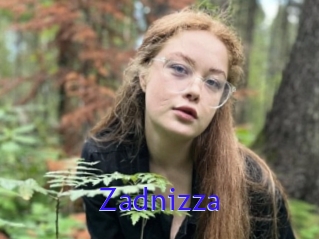 Zadnizza